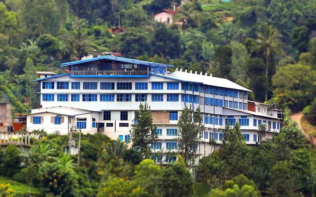 Halpewatte Tea Factory Ella – Complete Visitor Guide Halpewatte Tea Factory Ella