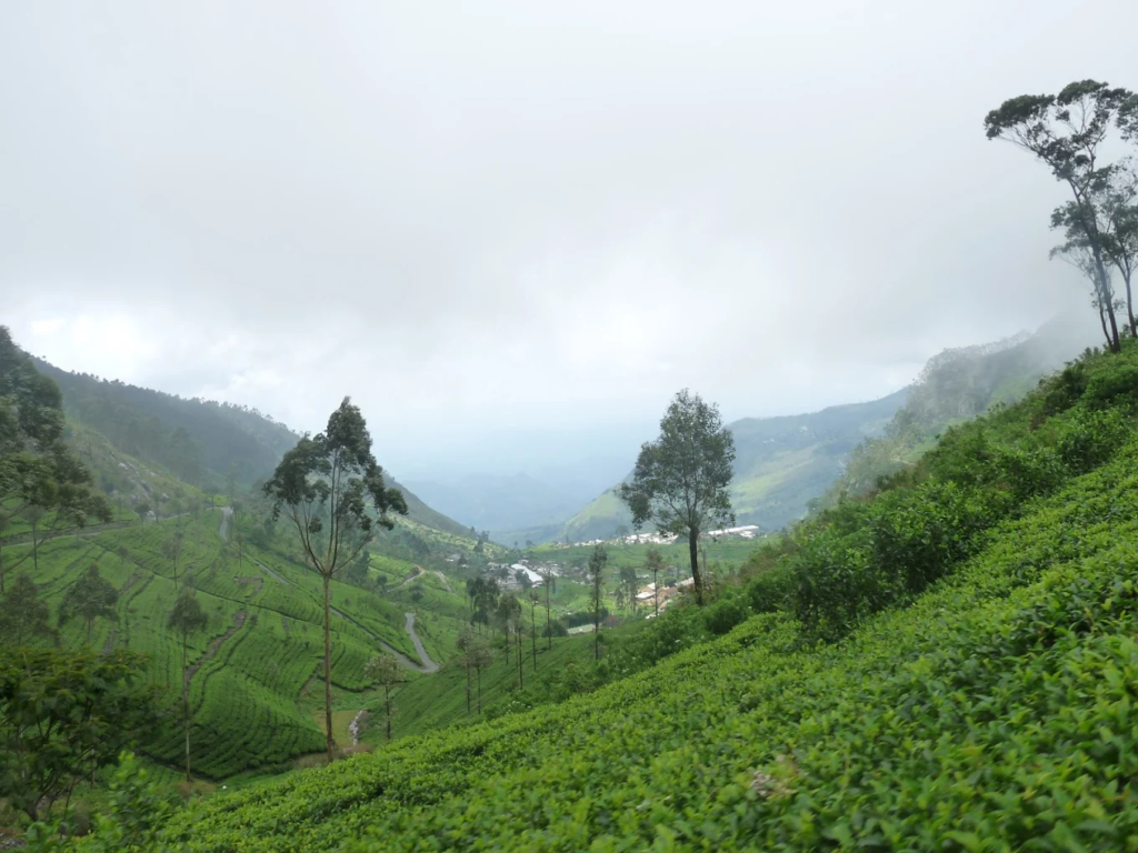 Lipton’s Seat Sri Lanka