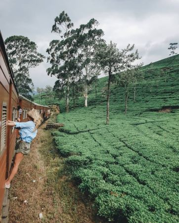 Ella Train Ride Sri Lanka
