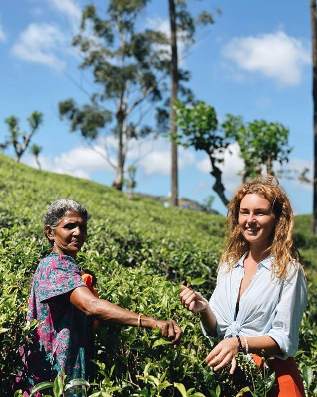Haputale Day Tour | Scenic Tea Plantations & Mountain View Experience Haputale Day Tour