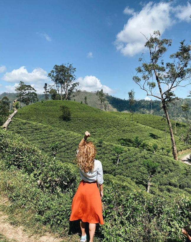 Haputale & Diyaluma Day Tour